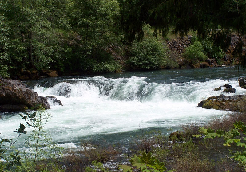 fishinNorthUmpqua